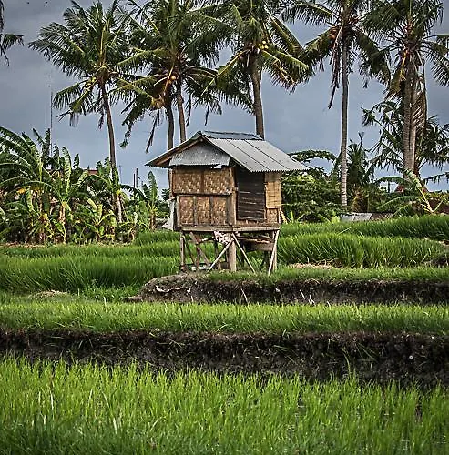 Hotel Impian Canggu (Bali)